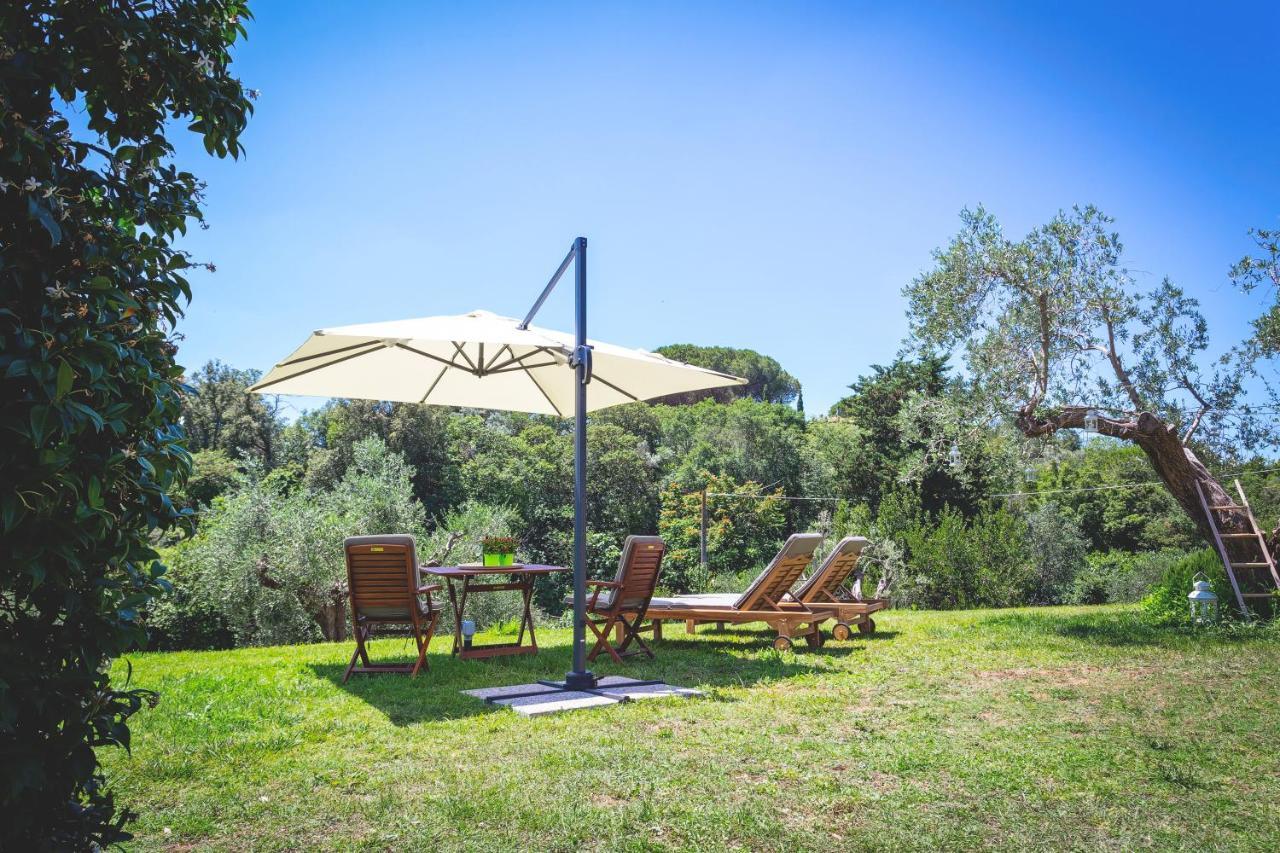 Gatto Rosso Bed and Breakfast Bolgheri Buitenkant foto