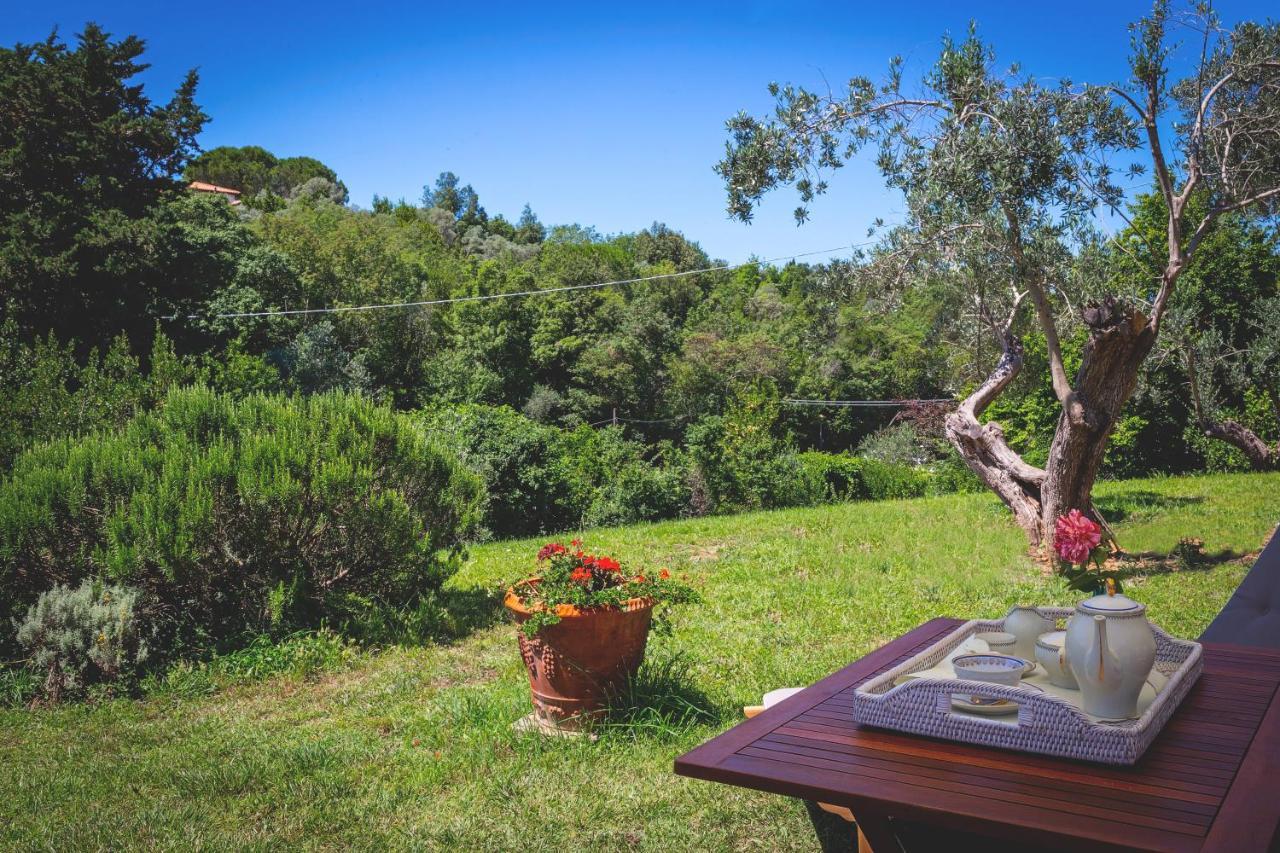 Gatto Rosso Bed and Breakfast Bolgheri Buitenkant foto
